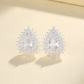Trendy Women's AAA Zircon Drop Silver Stud Earrings Wholesale Zircon  Women Western 925 Silver Earring