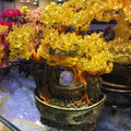 Hot Sale Citrine Quartz Crystal Lucky Tree Money Tree for Home Decoration