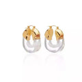 2025 Fashion Transparent Earrings Designer Earrings Popular Gold Plated Acrylic Resin Hoop U-shaped Earrings
