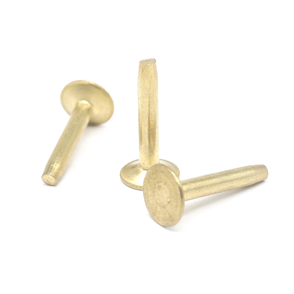 OEM Customized CNC Micro Machining Solid Steel Round Head Rivets Special Solid Brass & Aluminum Rivets