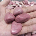 Bulk Sale Healing Crystals Semi-precious Stone Red Petrified Wood Tumbled Stones for Gift