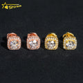 Fashion Jewelry 925 Sterling Silver Stud Earrings Pass Diamond Tester Hip Hop Screw Back VVS Moissanite Earrings