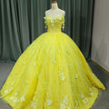 Jancember 9853 Light Appliqued Flower Empire Ball Gown Quinceanera Dresses for 15 Girls