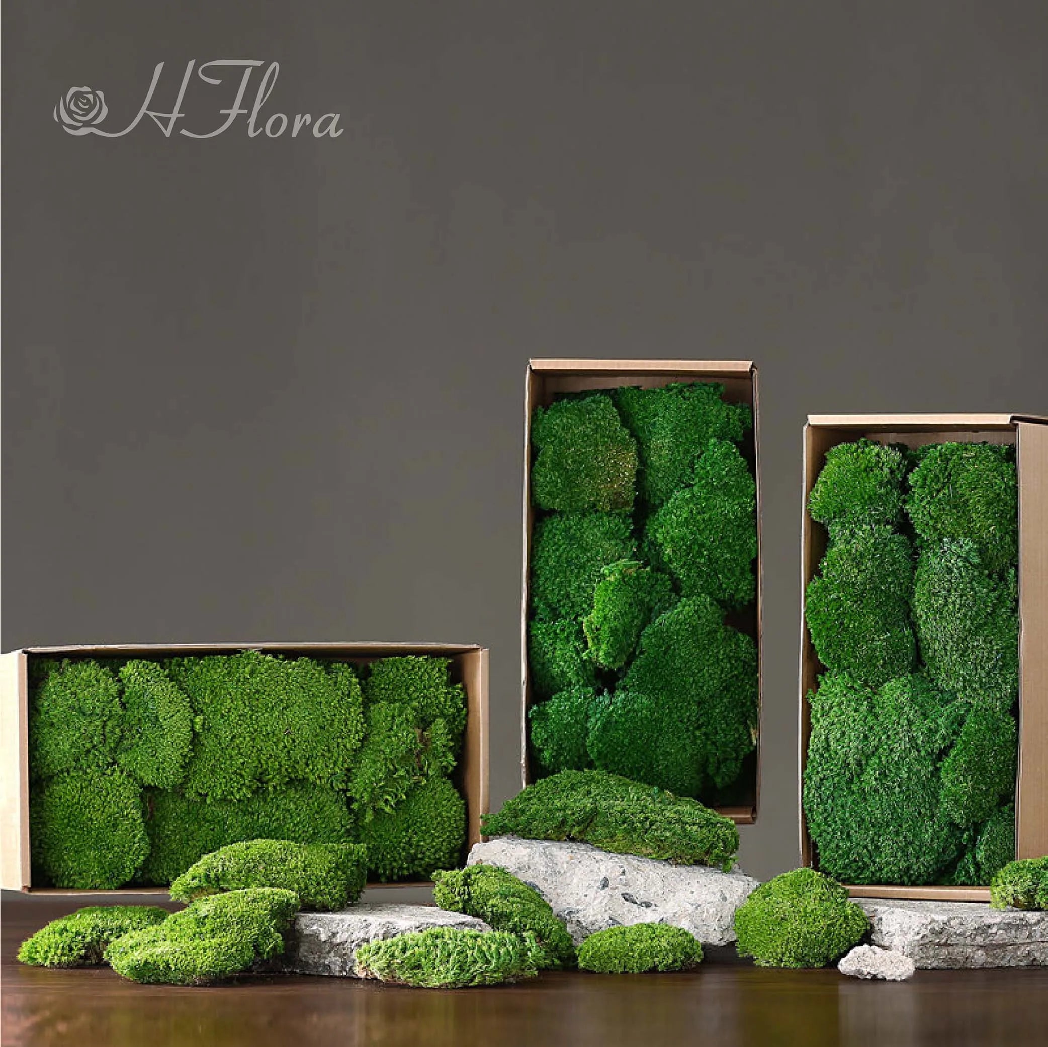 HFloral Wholesale Multi-color Preserved Reindeer Moss Bulk Eco-Friendly Stabilized Moss for Indoor Wall Decoration