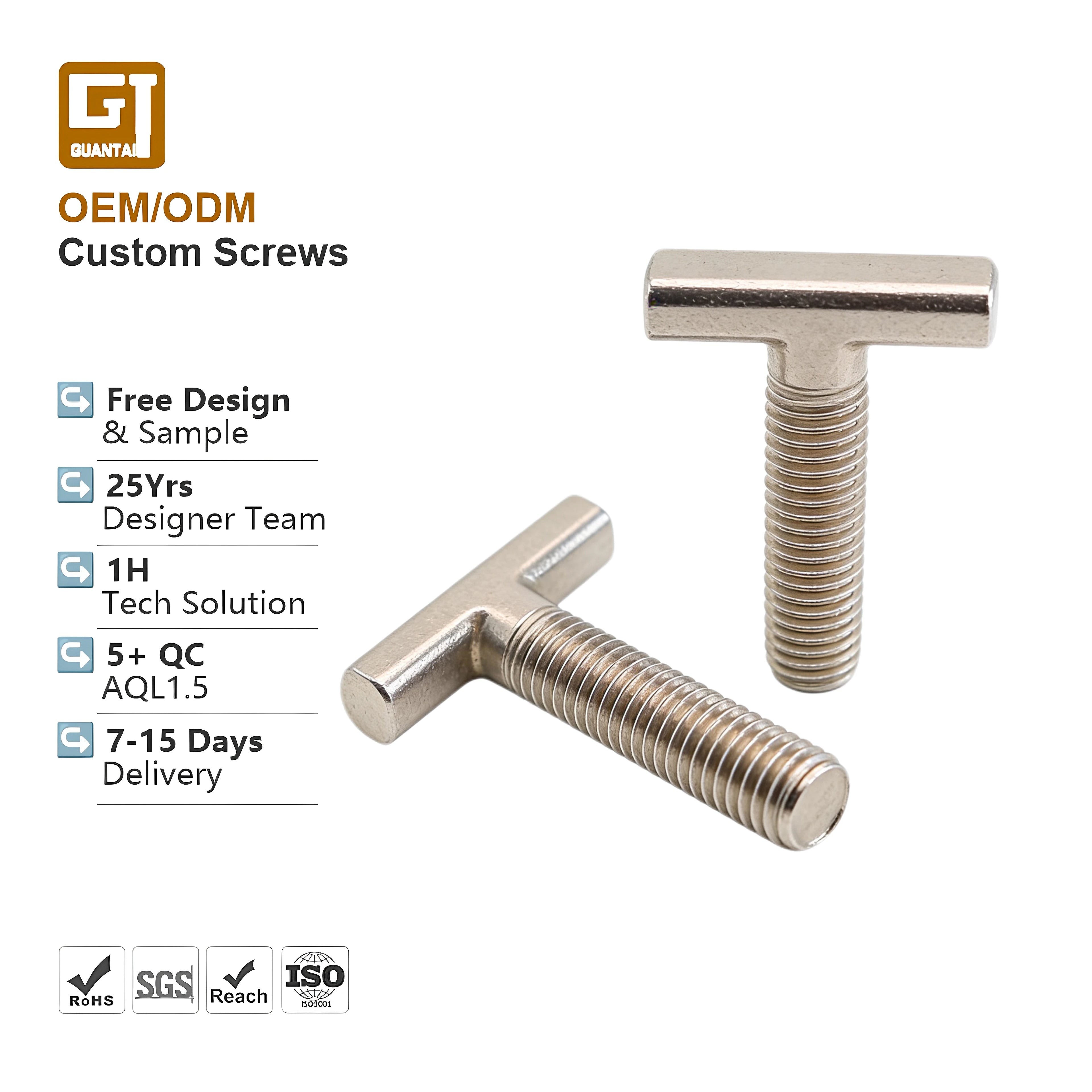 Custom T Head Carbon Steel Bolts Non-standard Metric M3 M4 M5 M6 M8 China Fastener Nickel Plated Plain Titanium Bolts