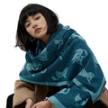 Wholesale Fashion Plain Double-Sided Colors Cartoon Cat Pattern Pashmina Shawls for Women Winter Warm Imitation Cashmere Scarves