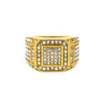 Hip Hop Stainless Steel Cubic Zirconia Biker Ring Gold Plated Jewelry Micro Inlay Bling Crystal Diamond Ring 316L Steel for Men