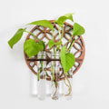 Hanging Plant Room Decor Custom Laser Cut Wood Wall Art Leaf Hanging Propagation Test Tube Station for Wooden Wall Decoration