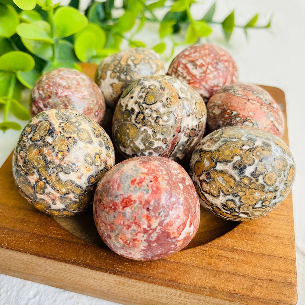 Wholesale Special Offer Natural Rough Leopard Tumble Crystal Chip Crystal Healing Stone Leopard Stone Sprint Tumble for Sale