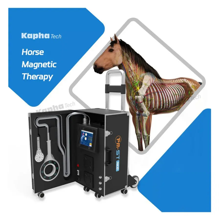Physical Therapy and Rehabilitation Equipment for Horse Treatment Pemf Machine for Pain Infrared Therapy