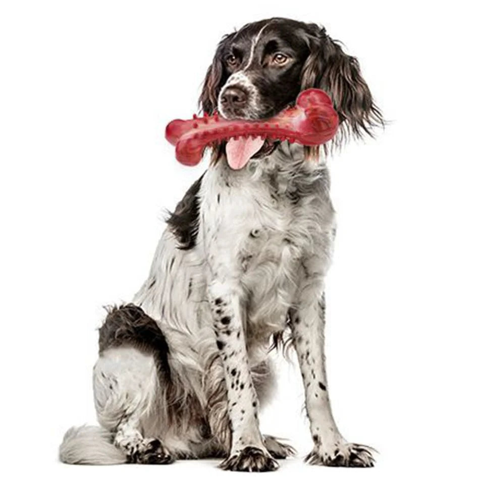 Eco-Friendly Durable TPR Chew Stick Natural Rubber Dog Bone Toy for Large Dogs and Cats Realistic Molar Play and Molar Usage