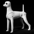 Teddy Dog Model Dog ProstheticTeddy Model Pet Beauty School Practice Skeleton must Be Used with False Hair