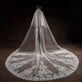 Fancy Luxury High End Fine Craftsmanship Bridal Lace White Wedding Veil Long Tail Grace Wedding Accessories