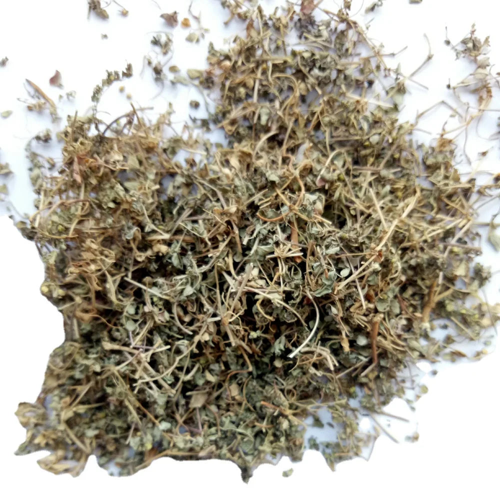 Di Jin Cao Wholesale Dried Humifuse Euphorbia Herb Creeping Spurge Euphorbia for Sale