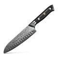 Professional Damascus Steel VG10 67 Layer Kitchen Santoku Knife with Full Tang Ergonomic G10 Handle