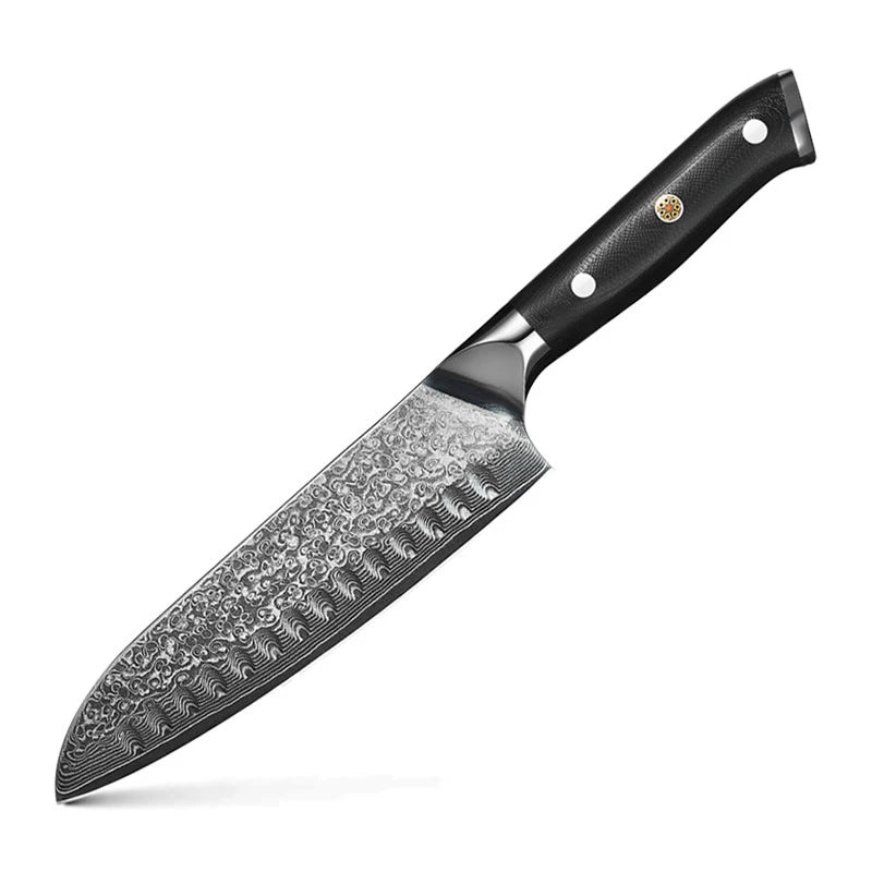 Professional Damascus Steel VG10 67 Layer Kitchen Santoku Knife with Full Tang Ergonomic G10 Handle