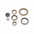 NRTeam Engine Oil Seal Kit for Ktm SX 250 00-02 Model Years