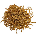 Factory Wholesale Custom-packaged Microwave-dried Yellow Mealworms