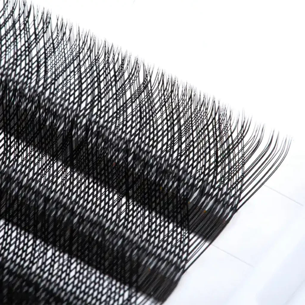 Kingwell Lash Extension Supplies Matte Black YY W Lashes Volume Premade Fan  Lashes 3D 4D 5D Clover Eyelashes