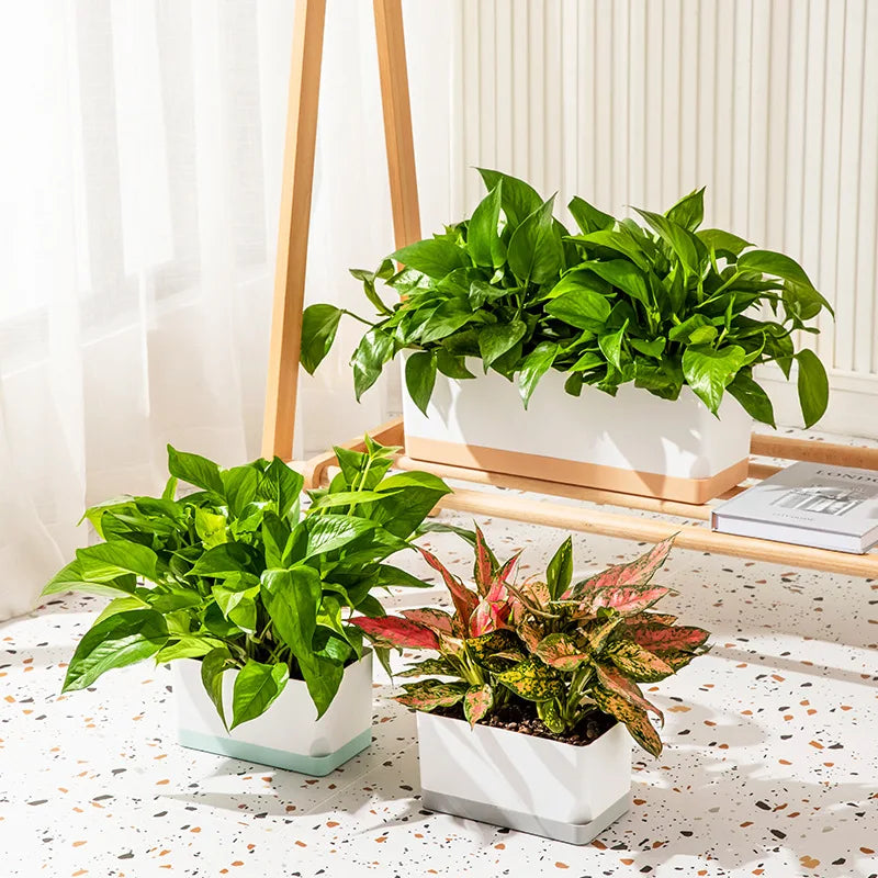 P79 Plastic Plant Pot With Visual Water Level Window Indoor Decorative Garden Flower Pot Rectangle Self Watering Planter Pot