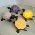 Natural Amethyst Tooth Turtle Night Lamp Carved Crystal Bedside Table with USB Port Healing Home Decor Gift for Women and Men