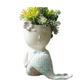 Hot Selling Home Decorative Fish Green Plants Flower Pot Resin Crafts Planter Pot