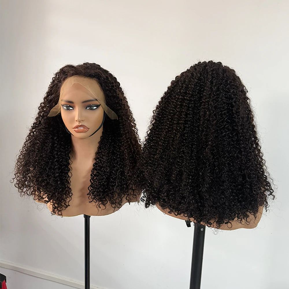 Already Made Human Hair Wigs 12 a Grade Raw Human Hair Transparent Lace Wig Kinky Curly Raw Virgin Human Hair Wigs