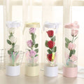 XJH Valentine's Day Gift New Rose Hugging Soap Transparent PVC Bucket Bouquet Long Tube Simulation Flower Box