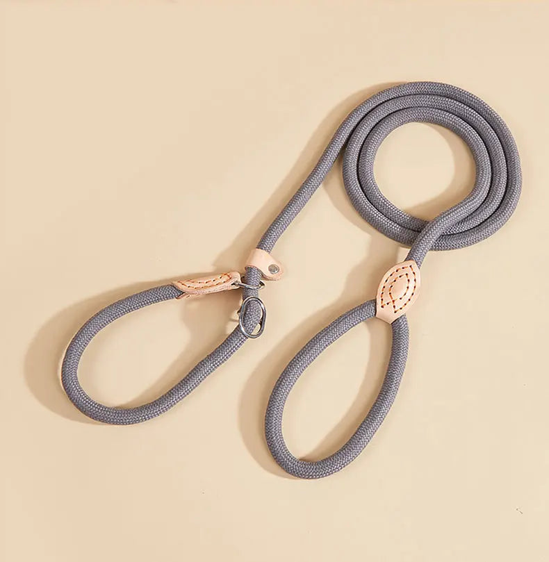 Nylon Rope Training Slip Lead Dog Leash Dog Slip Leash Pet Lead and Collar Combo Braided