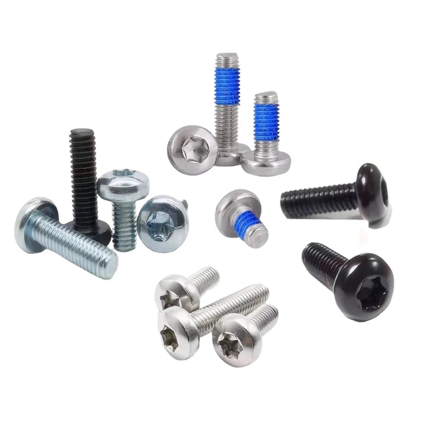 Custom Carbon Stainless Steel Black Trox Screw 6x55 5x50 M2.5 M3 M4 M5 M6 M8 Pan Head Torx Nylon Patch Locking Screw