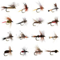 Dry Fly Floating Foam Beetles Fly Stimulator Trout Parachute Caddis Royal Wulff Mayfly Light Cahill Fishing Freshwater Fish