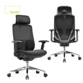 High Back Executive Mesh Office Seating Height Adjustable Ergonomic Computer Mesh Chair for Office