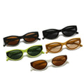 Sunray in Stock Popular Ladies Cat Eye Sunglasses for Adults Personalised Jelly Colour White Red Blue Frames Made PC Material