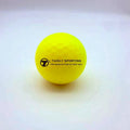 Top Performance Matte 2 Layer Golf Balls Yellow 2 Piece Golf Tour Ball