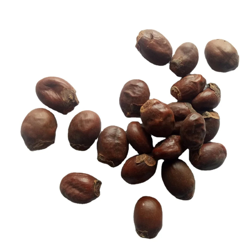 Li Zhi He Raw Herb Dried Whole Litchi Chinensis Semen Litchi Seeds for Sale