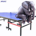 Professional ITTF Indoor Tennis De Table 15mm 18mm 25mm Folding Movable Table Tennis Board Ping Pong Table