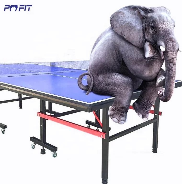 Professional ITTF Indoor Tennis De Table 15mm 18mm 25mm Folding Movable Table Tennis Board Ping Pong Table