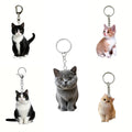 New Hot Selling Cute Animal Cute Acrylic Cat Keychain Charming Anime Cartoon Cat Acrylic Keychain Gift for Bag Accessories