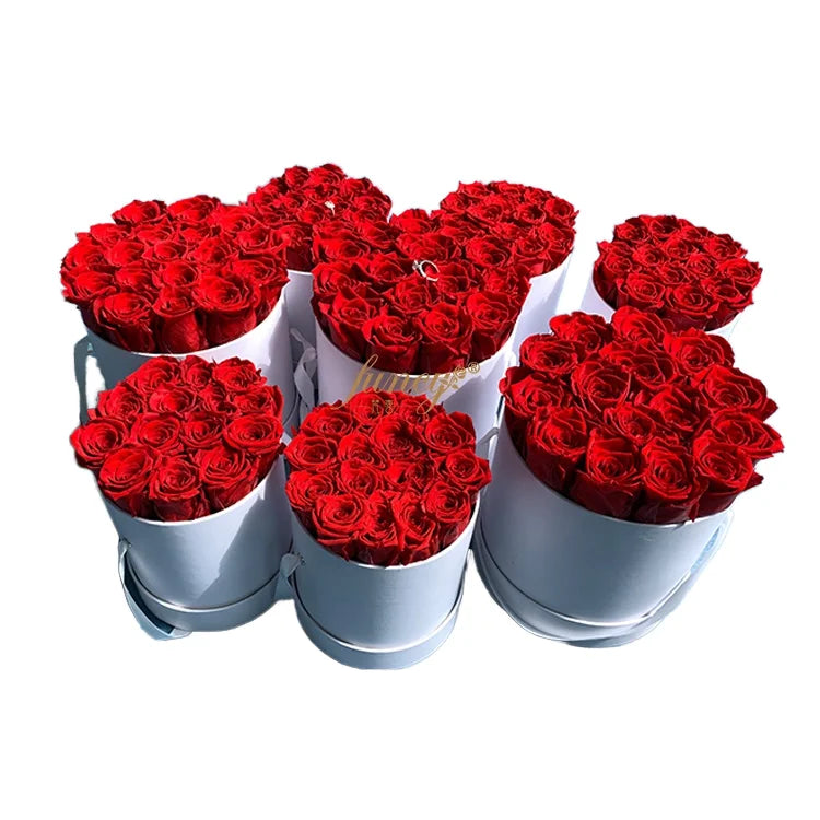 Forever Eternal Round Box with Stabilized Enchanted Preserved Roses for Graduation Valentine's Day or Christmas Celebration