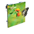 Indoor Outdoor LED Advertising Release LED Display Screen Cheap Price LED Screen for Stage Event Concert