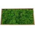Wholesale Wall Decorative Flowers Reindeer Moss Bulk Natural Preserved Moss in Box