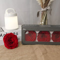 AYOYO Bulk a Grade Long Lasting Eternal Forever Real Preserved Roses in Box Decorative Flowers for Sale