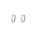 Reeti 925 Sterling Silver Roman Numerals Hoop Earrings for Women Animal Silver Jewelry Gifts Trendy