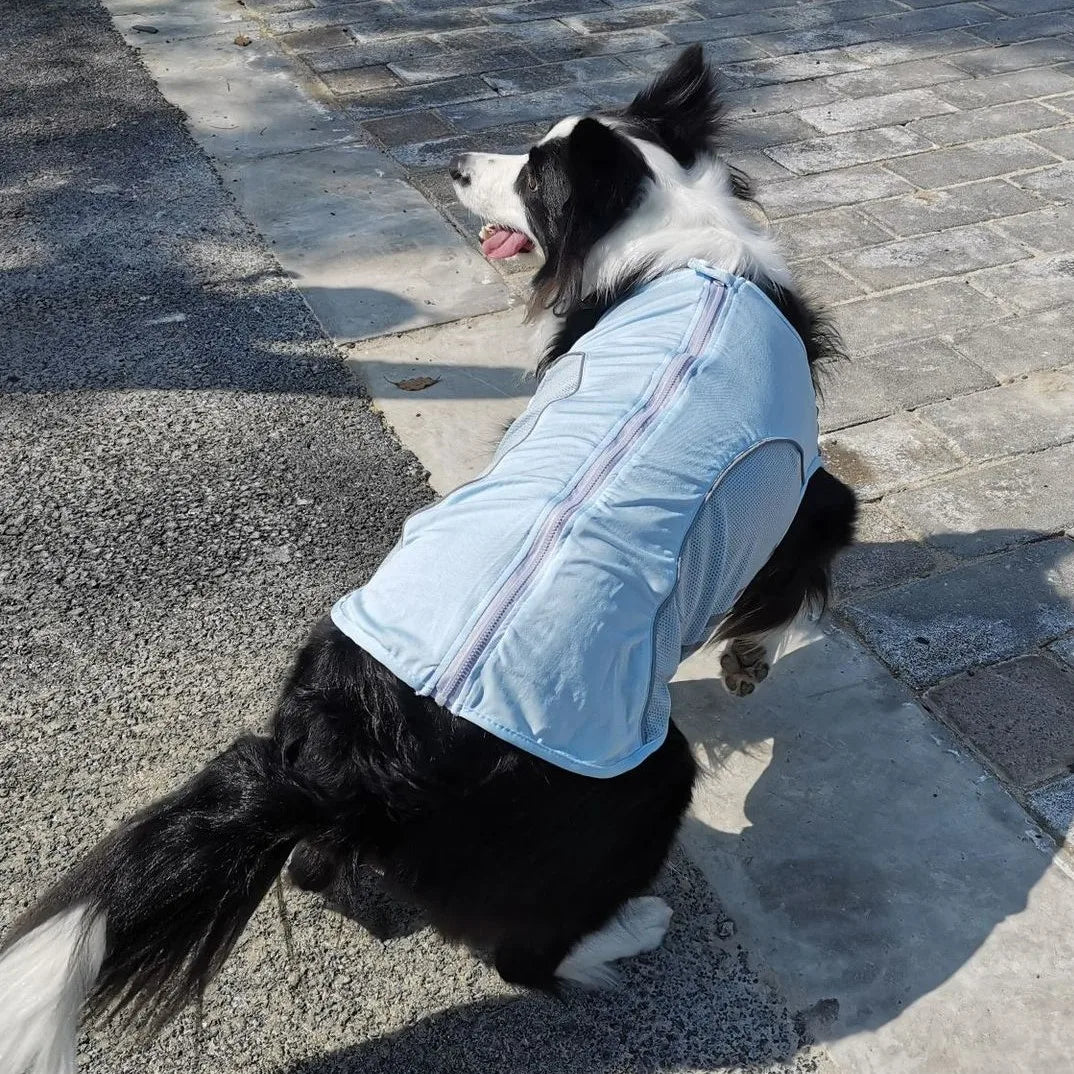 Wholesale Products for Dog Clothes Vest Large Sized Dog Breeds