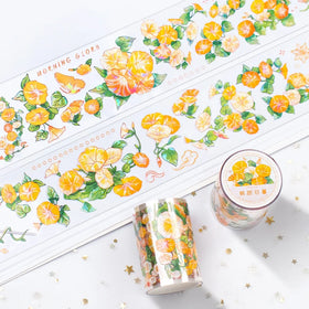 Custom Journaling Transparent PET Tape Sticker Rolls with Circle Label