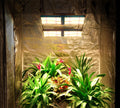 Top Selling 480w Samsung Lm301h Battery Operated Sunraise Grow Box 3x5 Growing Lights for Plants Indoor