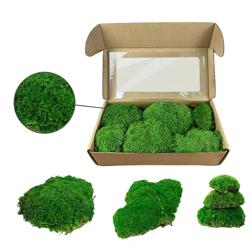 HFlora Preserved Reindeer Moss Bulk Custom Size Natural for Wall Decor DIY Crafts Wedding Mother's Day Decoration Long Lasting