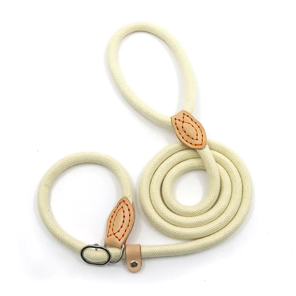 Eco-Friendly Dog Leashes Set Training Tool Featuring Leather Polyester Custom Heavy-Duty Nylon Dog Collars & Leashes