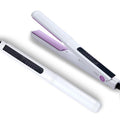 Titanium Professional Customizable Electric Hair Straightener Ceramic Flat Styling LED Household Private Label Personal Styling