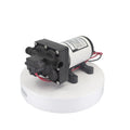 China Hot Sale 42 220V 20.8LPM High Pressure RV Marine Diaphragm Water Pump 70PSI/4.82BAR Booster Pump AC Voltage 110V Electric